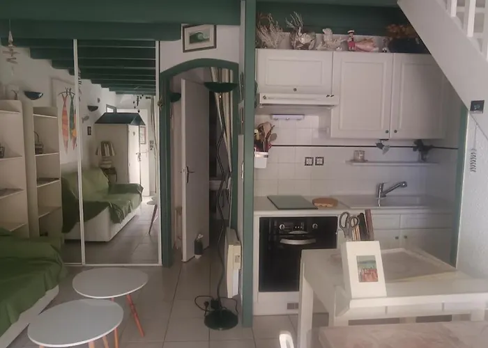 Le Pirate Lazor - Сasa de vacaciones Les Sables Vignier